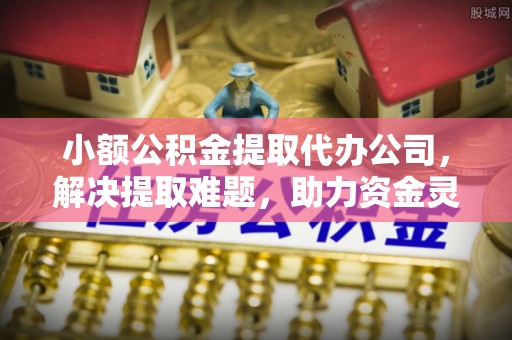 桃山小额公积金提取代办公司，解决提取难题，助力资金灵活使用