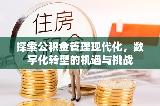 桃山探索公积金管理现代化，数字化转型的机遇与挑战
