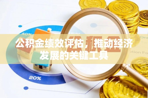 桃山公积金绩效评估，推动经济发展的关键工具