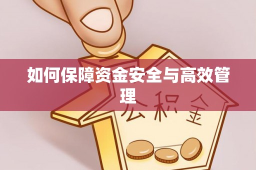 桃山如何保障资金安全与高效管理