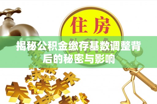 桃山揭秘公积金缴存基数调整背后的秘密与影响