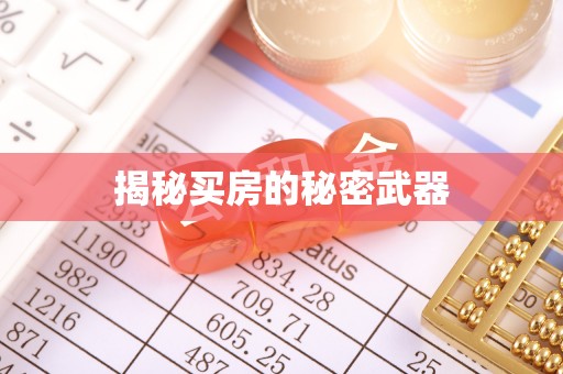 桃山揭秘买房的秘密武器