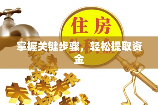桃山掌握关键步骤，轻松提取资金