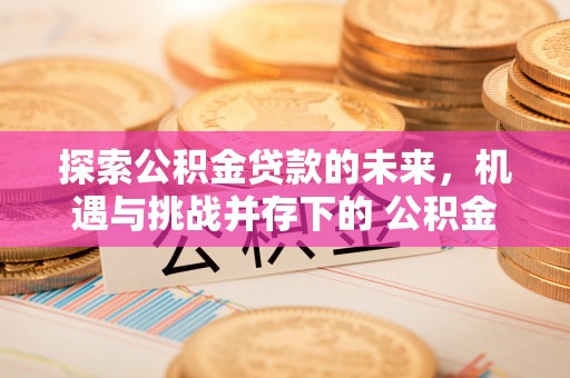 桃山探索公积金贷款的未来，机遇与挑战并存下的 公积金贷款风险防控