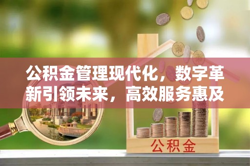 桃山公积金管理现代化，数字革新引领未来，高效服务惠及民生