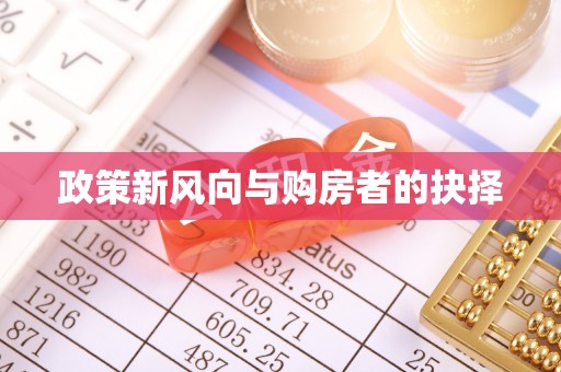 桃山政策新风向与购房者的抉择