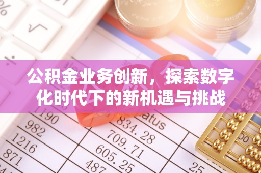 桃山公积金业务创新，探索数字化时代下的新机遇与挑战