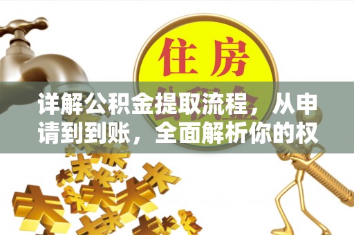 桃山详解公积金提取流程，从申请到到账，全面解析你的权益与操作步骤