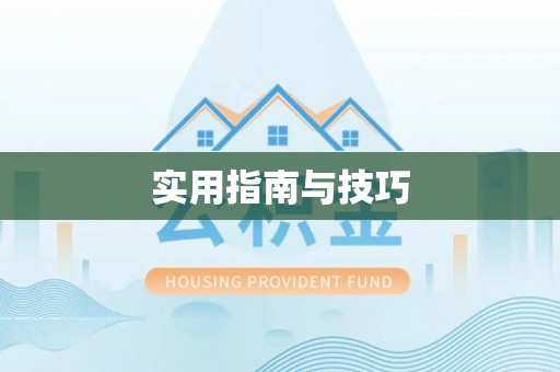 桃山实用指南与技巧