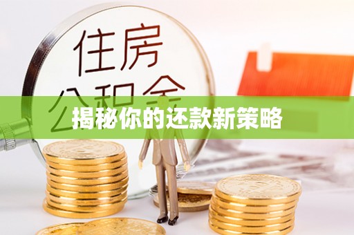 桃山揭秘你的还款新策略