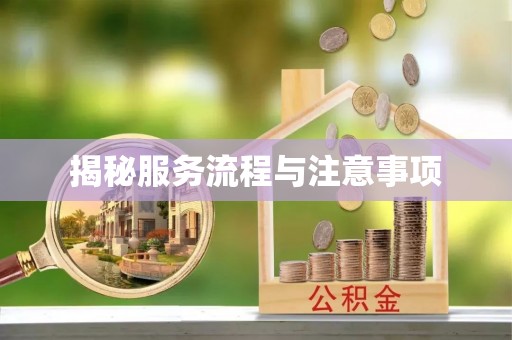 桃山揭秘服务流程与注意事项