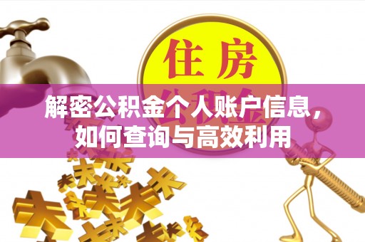 桃山解密公积金个人账户信息，如何查询与高效利用