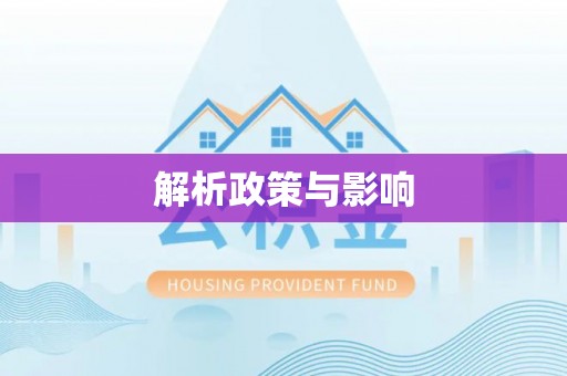 桃山解析政策与影响