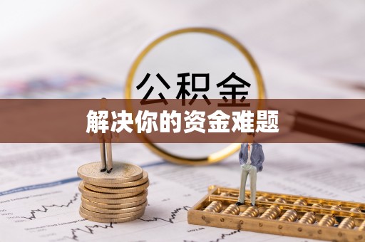 桃山解决你的资金难题
