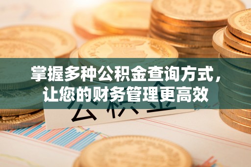 桃山掌握多种公积金查询方式，让您的财务管理更高效