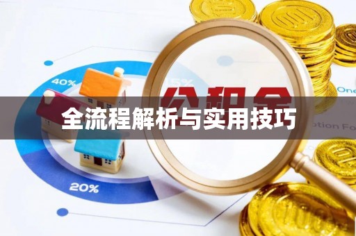 桃山全流程解析与实用技巧