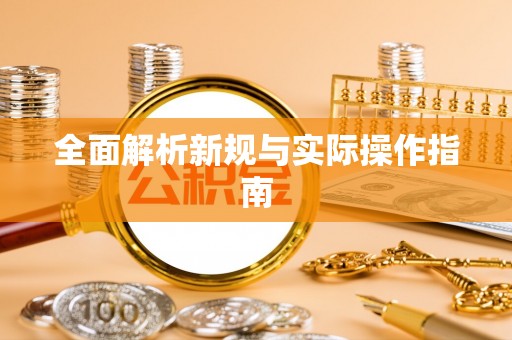 桃山全面解析新规与实际操作指南