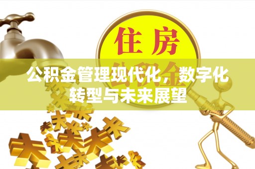 桃山公积金管理现代化，数字化转型与未来展望