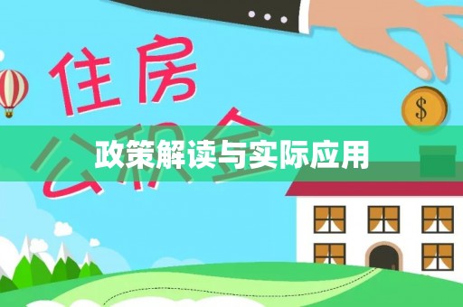 桃山政策解读与实际应用