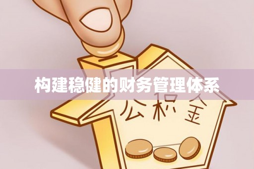 桃山构建稳健的财务管理体系
