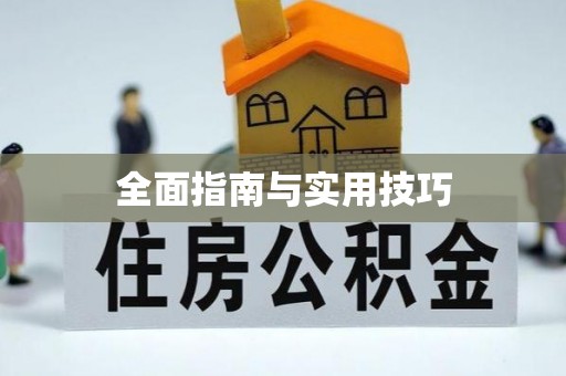桃山全面指南与实用技巧