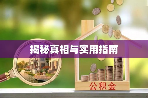 桃山揭秘真相与实用指南