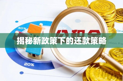 桃山揭秘新政策下的还款策略