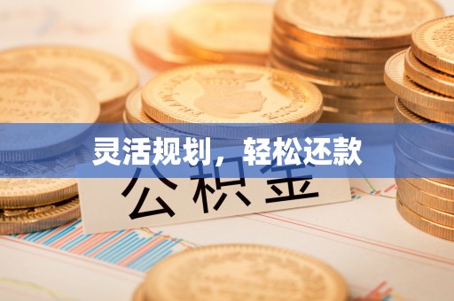 桃山灵活规划，轻松还款