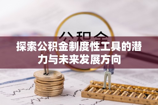 桃山探索公积金制度性工具的潜力与未来发展方向