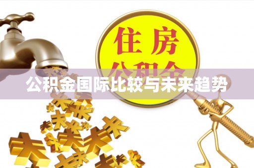 桃山公积金国际比较与未来趋势