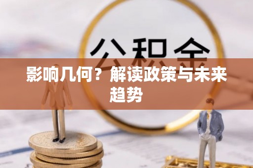 桃山影响几何？解读政策与未来趋势