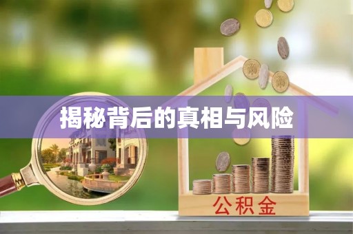桃山揭秘背后的真相与风险