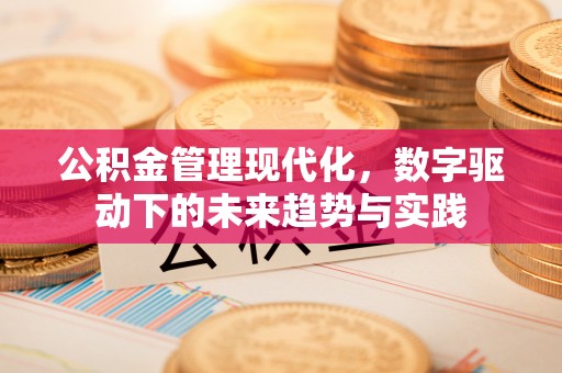 桃山公积金管理现代化，数字驱动下的未来趋势与实践