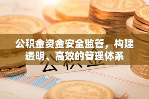 桃山公积金资金安全监管，构建透明、高效的管理体系