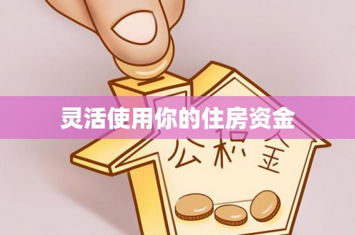 桃山灵活使用你的住房资金