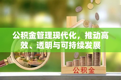 桃山公积金管理现代化，推动高效、透明与可持续发展
