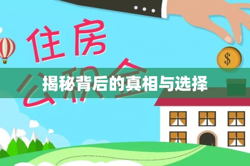 桃山揭秘背后的真相与选择