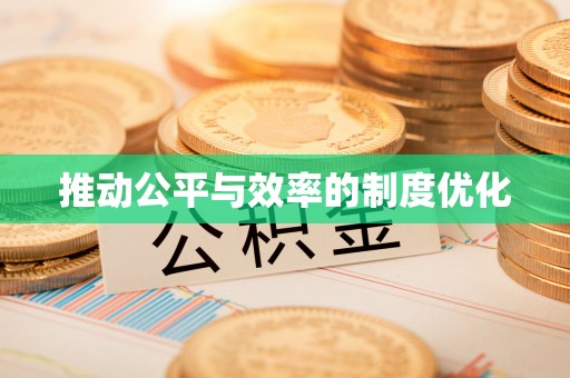 桃山推动公平与效率的制度优化