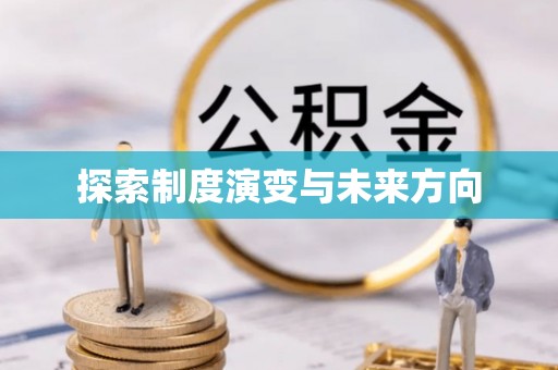 桃山探索制度演变与未来方向