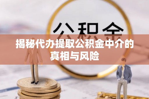 桃山揭秘代办提取公积金中介的真相与风险