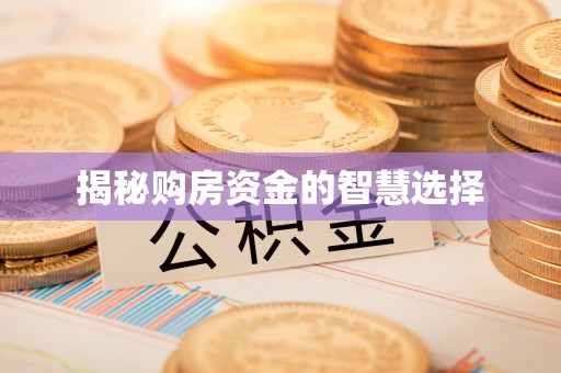 桃山揭秘购房资金的智慧选择