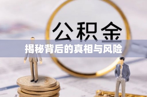 桃山揭秘背后的真相与风险