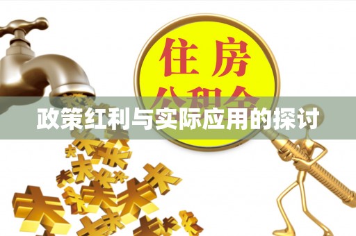 桃山政策红利与实际应用的探讨