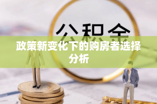 桃山政策新变化下的购房者选择分析