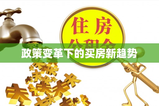 桃山政策变革下的买房新趋势