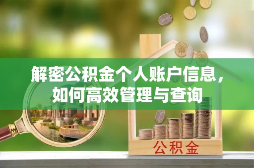 桃山解密公积金个人账户信息，如何高效管理与查询