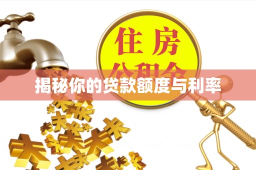 桃山揭秘你的贷款额度与利率