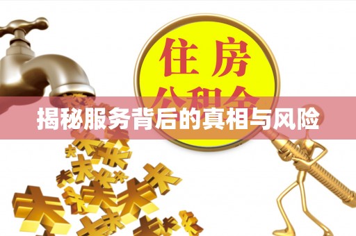 桃山揭秘服务背后的真相与风险