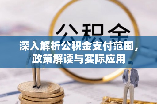 桃山深入解析公积金支付范围，政策解读与实际应用