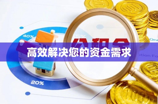 桃山高效解决您的资金需求